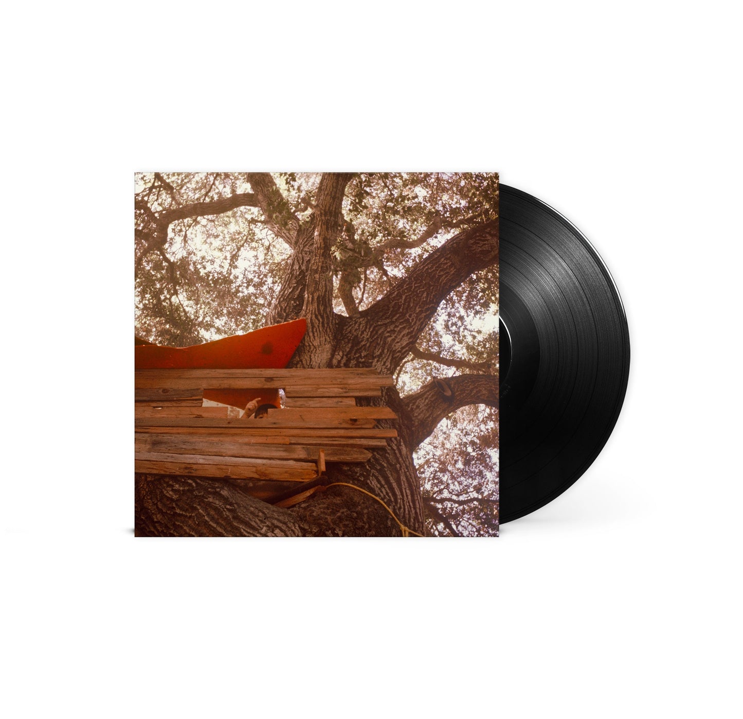 Waiting To Spill [LP] | Mint (M) Mint (M) Get Cheap Vinyl