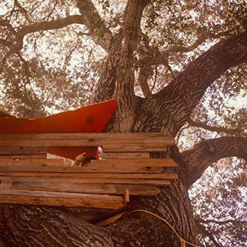 Waiting To Spill [LP] | Mint (M) Mint (M) Get Cheap Vinyl