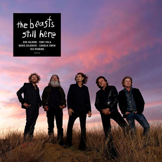 Still Here | Get Cheap Vinyl