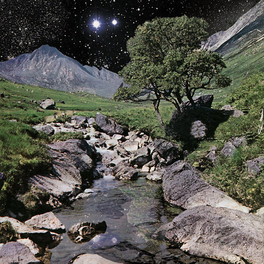 The Beta Band (Deluxe Edition)(VINYL) | Mint (M) Mint (M) Get Cheap Vinyl