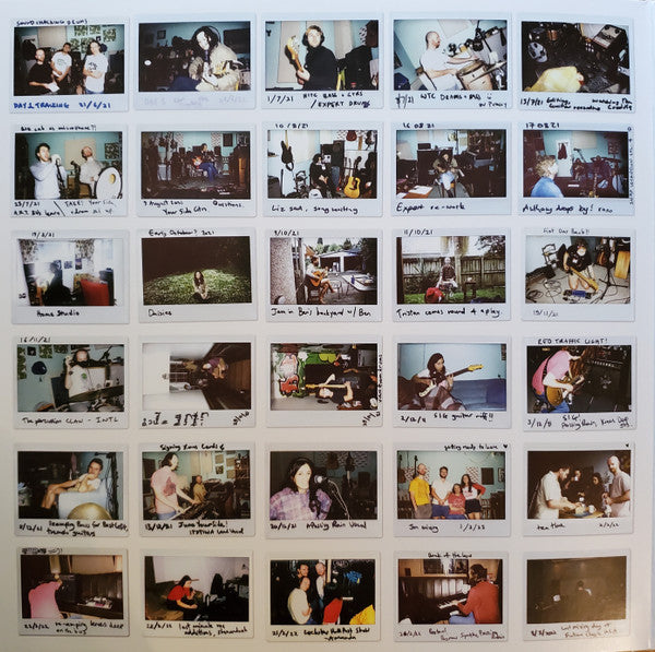 The Beths Expert In A Dying Field Carpark Records LP, Album, Can Mint (M) Mint (M) Get Cheap Vinyl