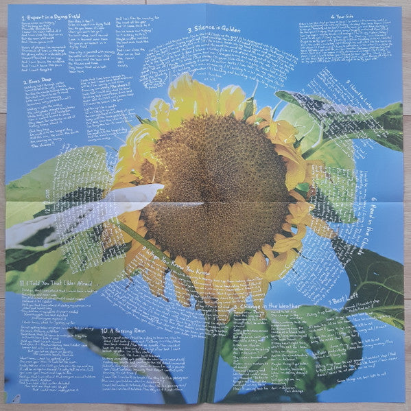 The Beths Expert In A Dying Field Carpark Records LP, Album, Can Mint (M) Mint (M) Get Cheap Vinyl