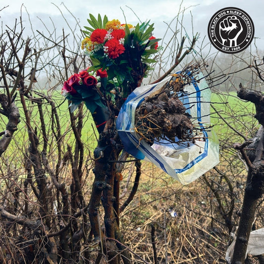 Sleep Deprivation (VINYL) [Import] | Mint (M) Mint (M) Get Cheap Vinyl