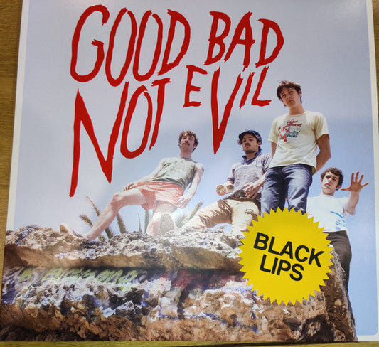 Good Bad Not Evil | Mint (M) Mint (M) Get Cheap Vinyl