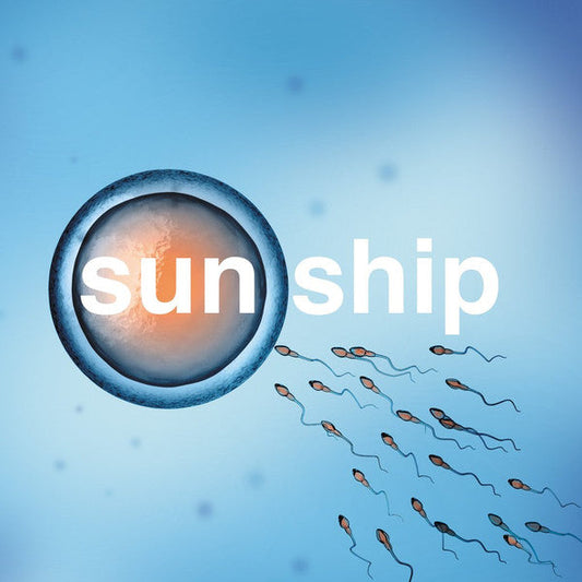The Sun Ship | Mint (M) Mint (M) Get Cheap Vinyl