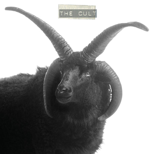 The Cult | Get Cheap Vinyl
