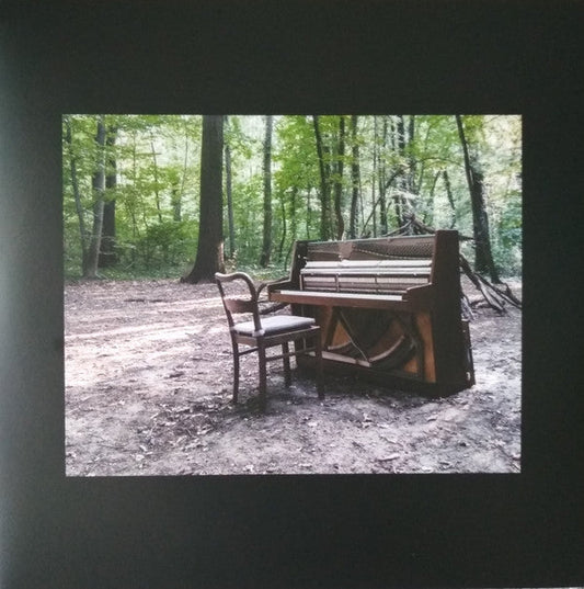 Acoustic II | Mint (M) Mint (M) Get Cheap Vinyl