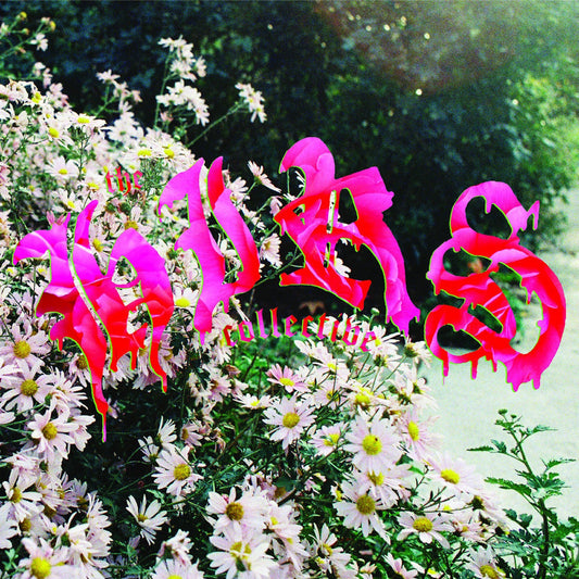 We'Re Still Here (White Vinyl) | Get Cheap Vinyl