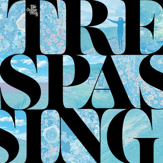 Trespassing | Mint (M) Mint (M) Get Cheap Vinyl