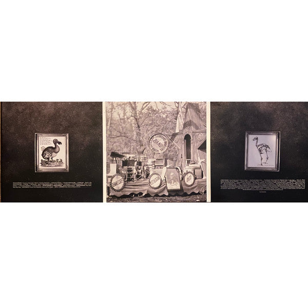 Consolers Of The Lonely | Mint (M) Mint (M) Get Cheap Vinyl