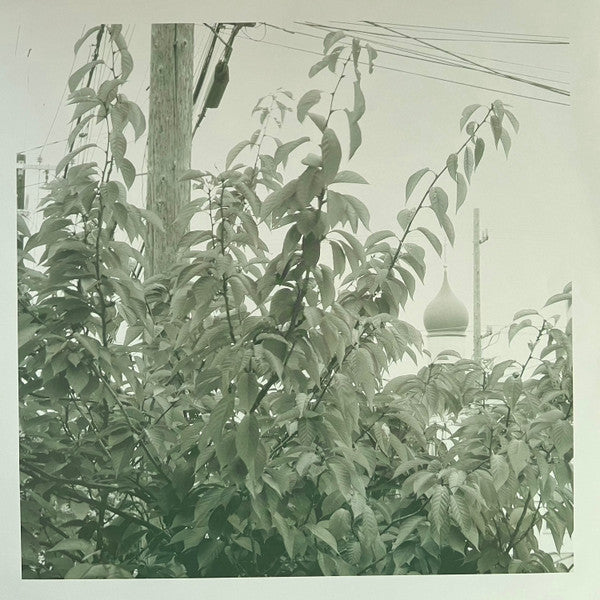 Uncommon Weather | Mint (M) Mint (M) Get Cheap Vinyl