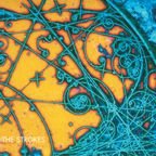 Is This It (Limited Edition) | Mint (M) Mint (M) Get Cheap Vinyl