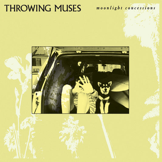 Moonlight Concessions | Get Cheap Vinyl