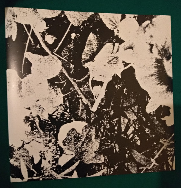 Sun Racket | Mint (M) Mint (M) Get Cheap Vinyl