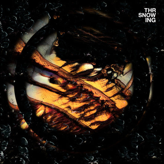 Dragons | Mint (M) Mint (M) Get Cheap Vinyl