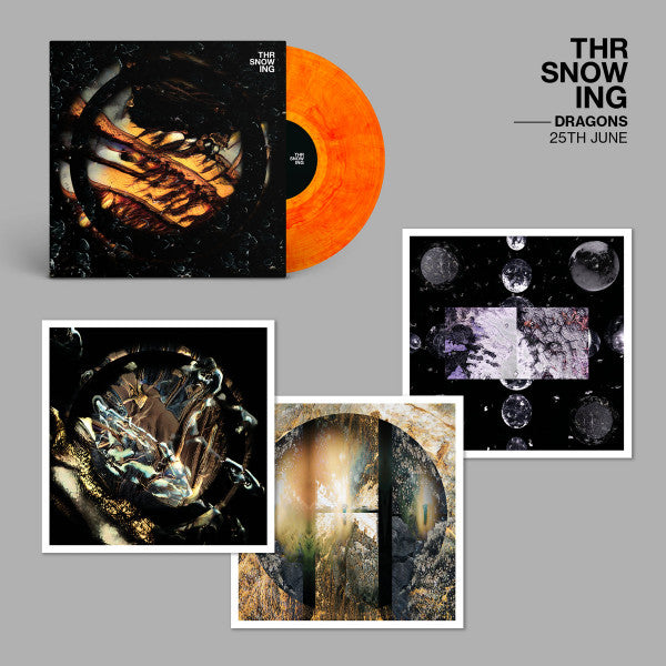 Dragons | Mint (M) Mint (M) Get Cheap Vinyl