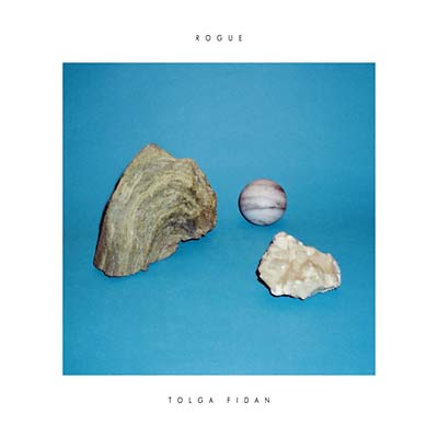 Rogue | Get Cheap Vinyl