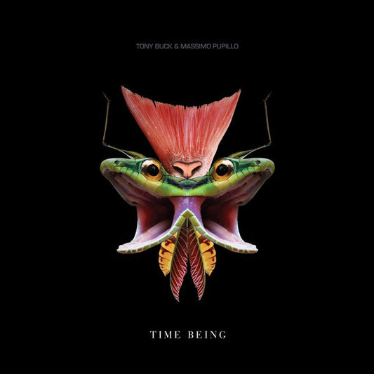 Time Being | Get Cheap Vinyl