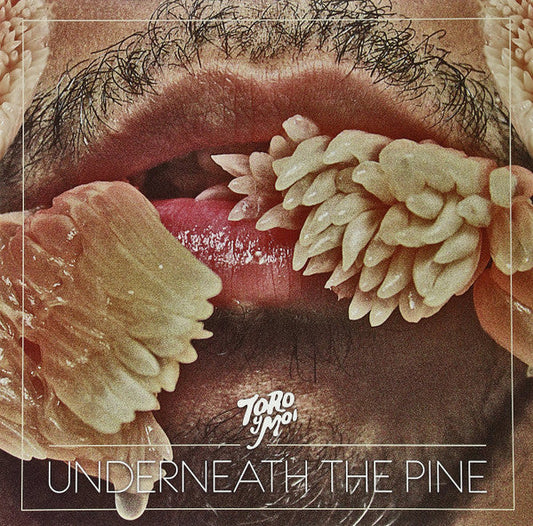 Underneath The Pine | Mint (M) Mint (M) Get Cheap Vinyl