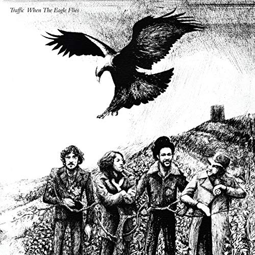 When The Eagle Flies (Remastered, 180 Gram Vinyl) | Mint (M) Mint (M) Get Cheap Vinyl