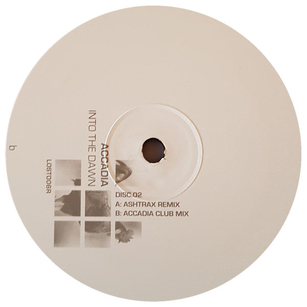 Into The Dawn (VINYL) | Excellent+ (EX+) Excellent (EX) Get Cheap Vinyl