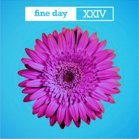 Fine Day XXIV (BLUE VINYL) | Mint (M) Mint (M) Get Cheap Vinyl