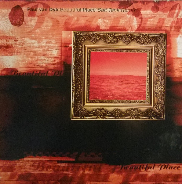Beautiful Place (Salt Tank Remix)(VINYL) | Excellent (EX) Excellent (EX) Get Cheap Vinyl