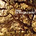 The Invisible Band (20th Anniversary) [LP] | Mint (M) Mint (M) Get Cheap Vinyl