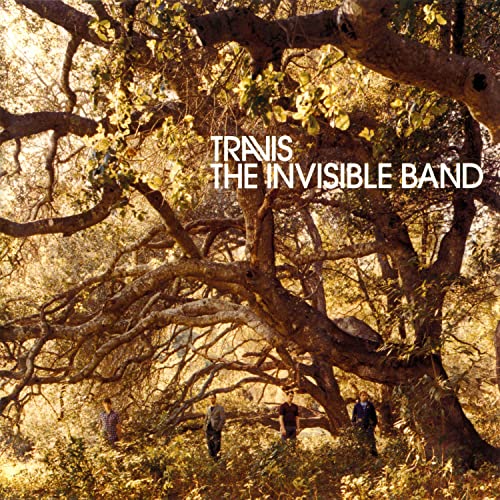 The Invisible Band (20th Anniversary) [LP] | Mint (M) Mint (M) Get Cheap Vinyl