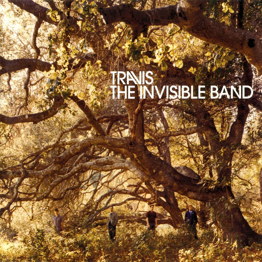 The Invisible Band (20th Anniversary) [LP] | Mint (M) Mint (M) Get Cheap Vinyl