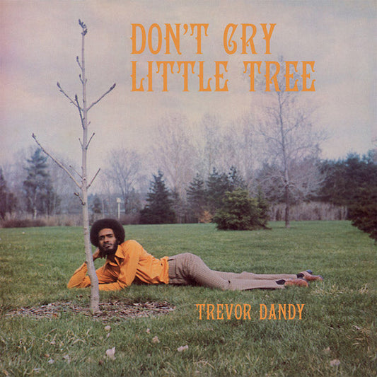 Don't Cry Little Tree (VINYL) | Mint (M) Mint (M) Get Cheap Vinyl
