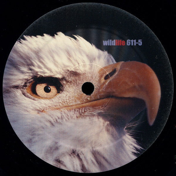 Radical | Excellent (EX) Very Good (VG) Get Cheap Vinyl