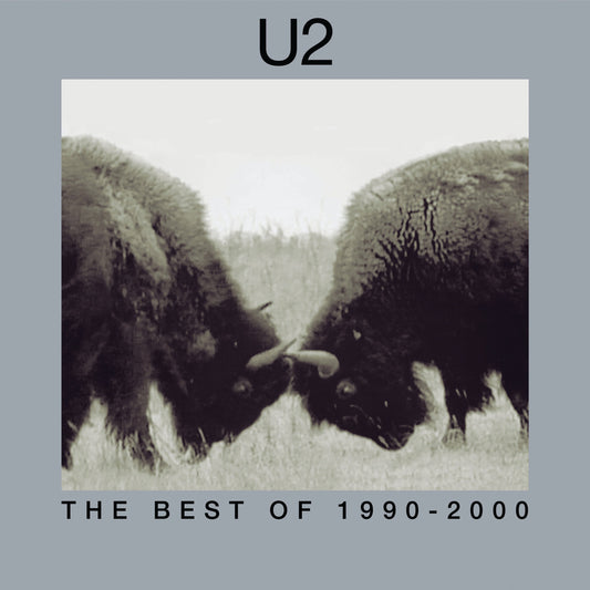 The Best Of 1990-2000 (180 Gram Vinyl) (2 Lp's) | Mint (M) Mint (M) Get Cheap Vinyl