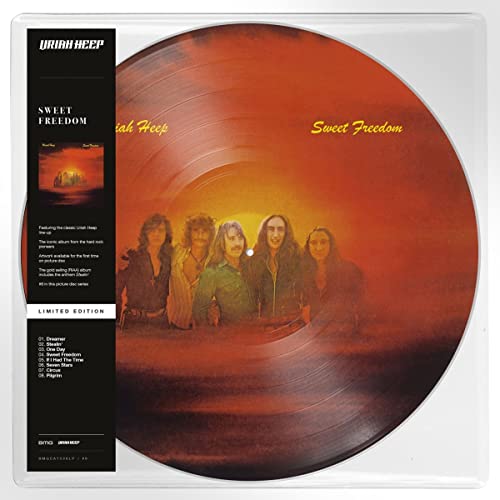Sweet Freedom | Mint (M) Mint (M) Get Cheap Vinyl