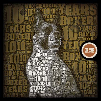 10 Years Of Boxer | Get Cheap Vinyl
