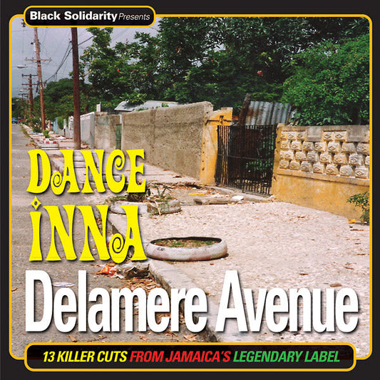 Black Solidarity Presents: Dance Inna Delamare Avenue | Get Cheap Vinyl