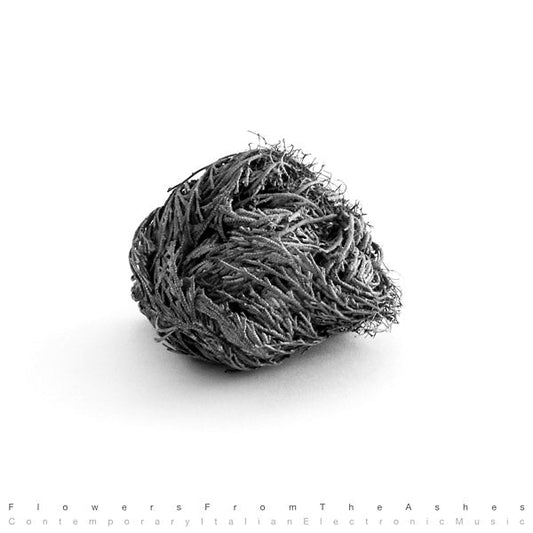 Flowers From The Ashes: Contemporary Italian Electronic Music [Import] (VINYL) | Mint (M) Mint (M) Get Cheap Vinyl