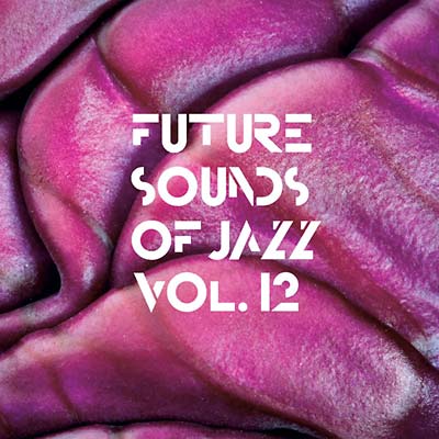 Future Sounds Of Jazz Vol. 12 | Get Cheap Vinyl