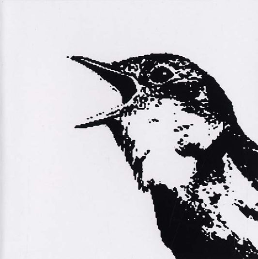 Nightingale Variations | Get Cheap Vinyl