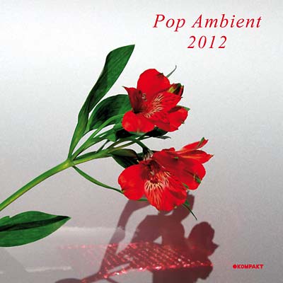 Pop Ambient 2012 | Get Cheap Vinyl