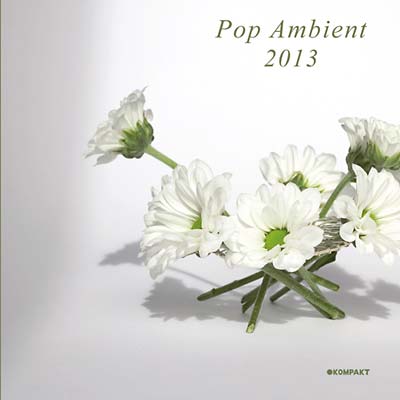 Pop Ambient 2013 | Get Cheap Vinyl