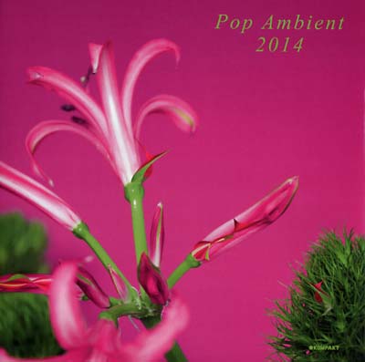 Pop Ambient 2014 | Get Cheap Vinyl