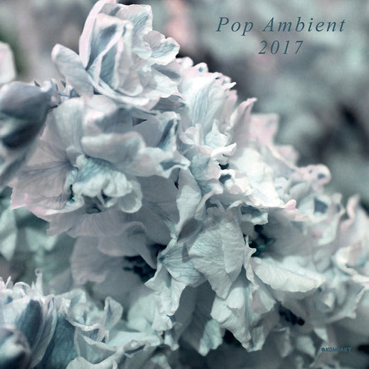 Pop Ambient 2017 | Get Cheap Vinyl