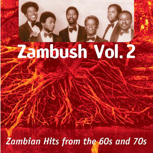 Zambush Vol. 2: Zambian Hits from the 60s and 70s | Get Cheap Vinyl