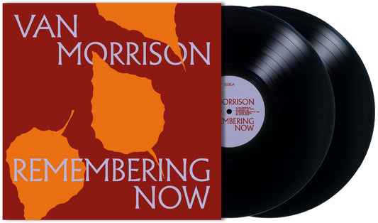 Remembering Now (2xVINYL) | Mint (M) Mint (M) Get Cheap Vinyl
