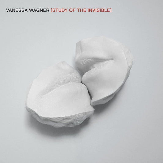 Study of the Invisible | Get Cheap Vinyl