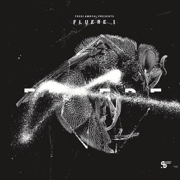 Yossi Amoyal Presents Fluere I | Mint (M) Mint (M) Get Cheap Vinyl