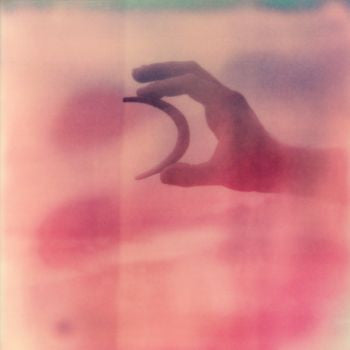 Forever Falling Toward The Sky | Mint (M) Mint (M) Get Cheap Vinyl