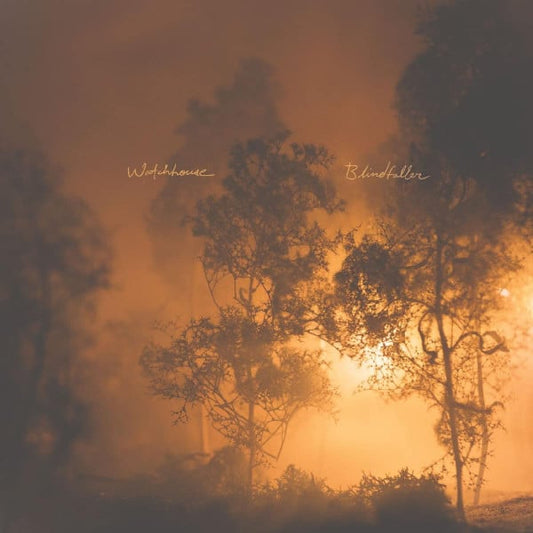 Blindfaller | Mint (M) Mint (M) Get Cheap Vinyl