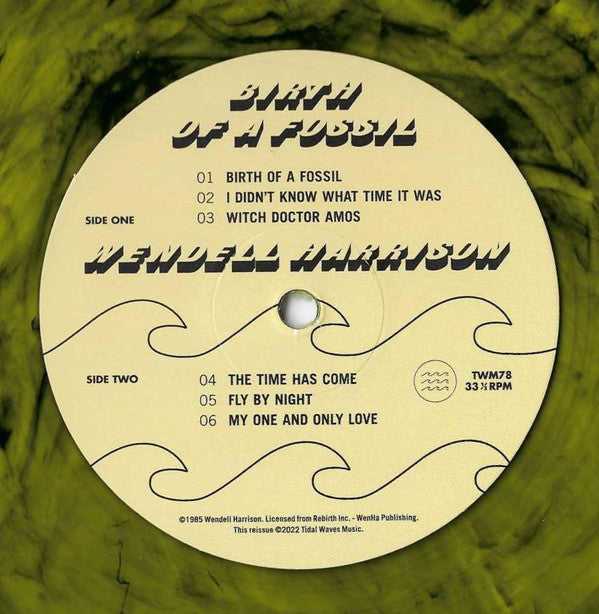 Birth Of A Fossil | Mint (M) Mint (M) Get Cheap Vinyl